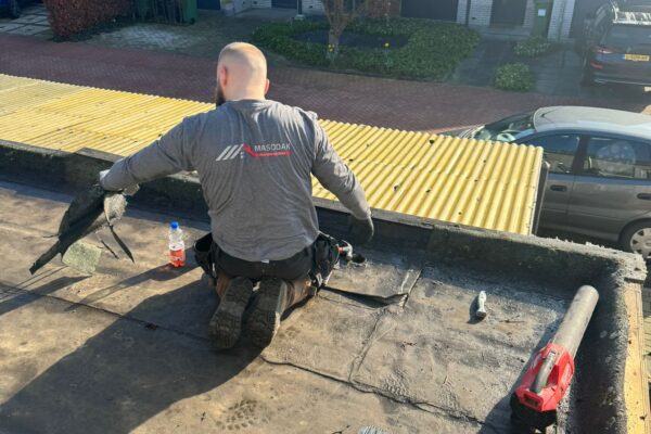 dakrenovatie omgeving den bosch